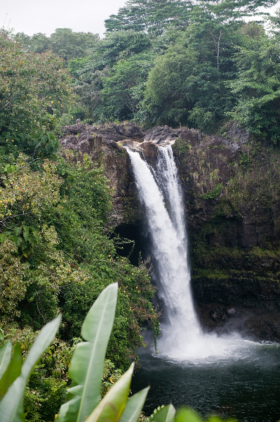 hawaii-2011-62
