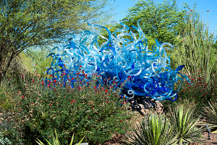 chihuly 2014 pic 1 web